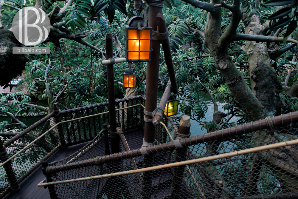 Tarzan's Treehouse - Hong Kong Disneyland