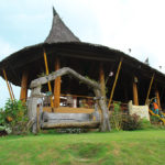 IMG_3606 copy